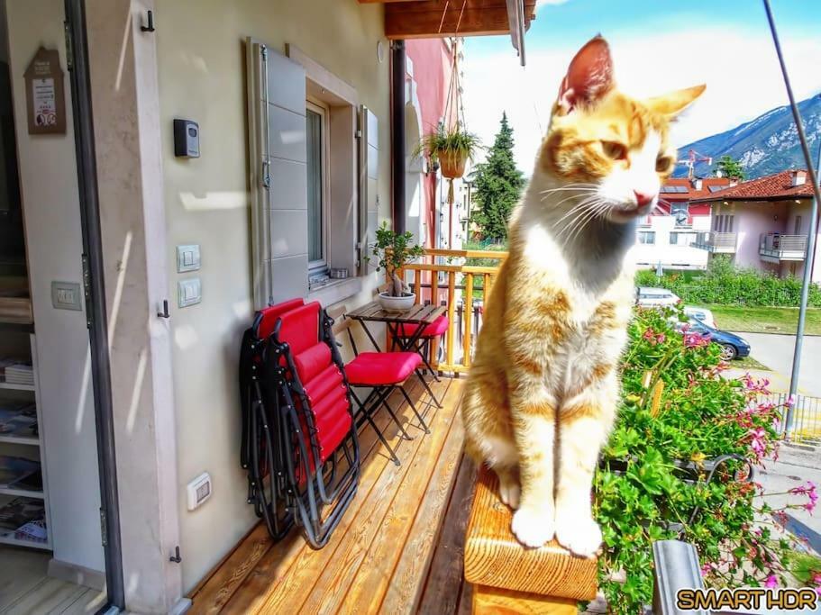 Antica Casa Alboletta - Appartamento Frida Kahlo Riva del Garda Buitenkant foto